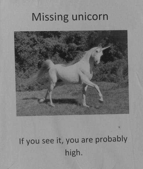 Missing Unicorn - If you see it, you are probably high